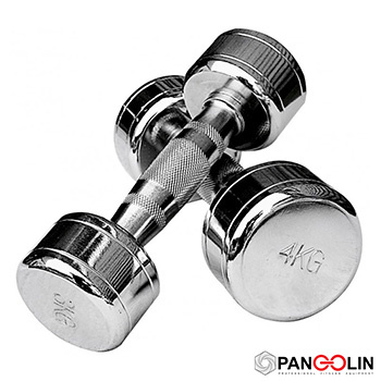 Хромированные гантели Pangolin Fitness DB124