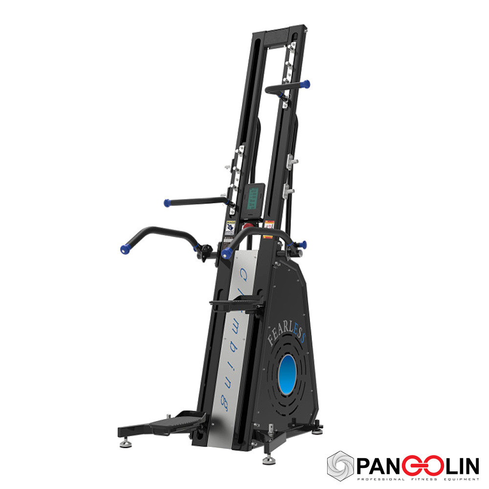 Лестница (Climber) Pangolin Fitness 2060