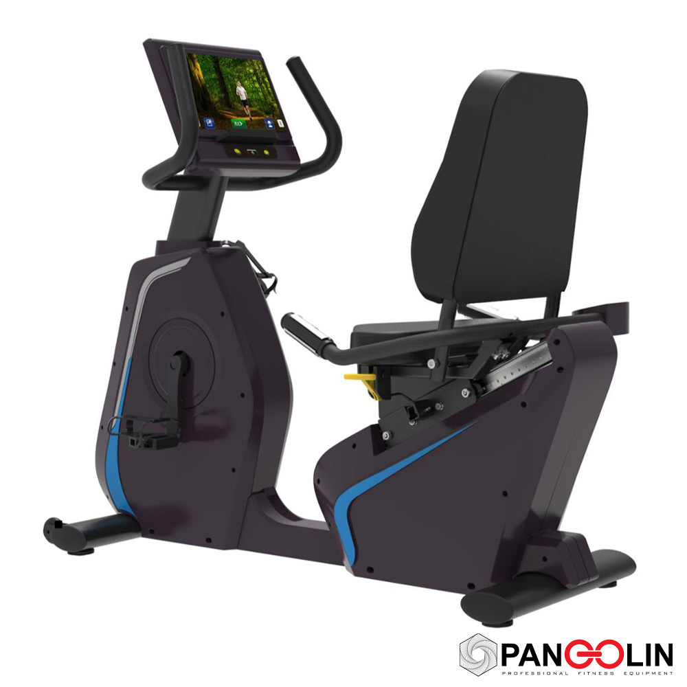 Велотренажер Pangolin Fitness 2020LCD