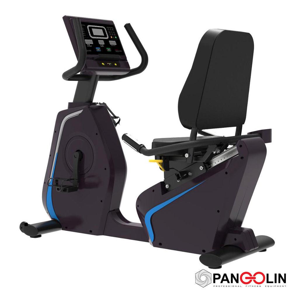 Велотренажер горизонтальный Pangolin Fitness 2020LED