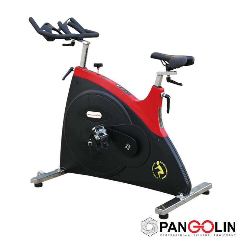 Велотренажер Pangolin Fitness 7010 Speenbike